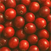 Cranberry
